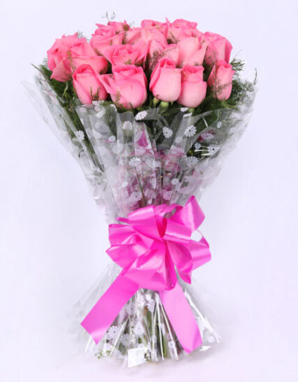 Giftnmore-20 Baby Pink Roses