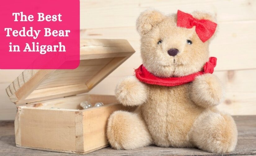 The Best Teddy Bear in Aligarh