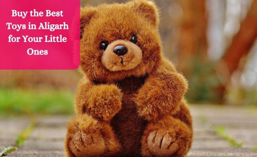 Buy the Best Toys in Aligarh for Your Little Ones